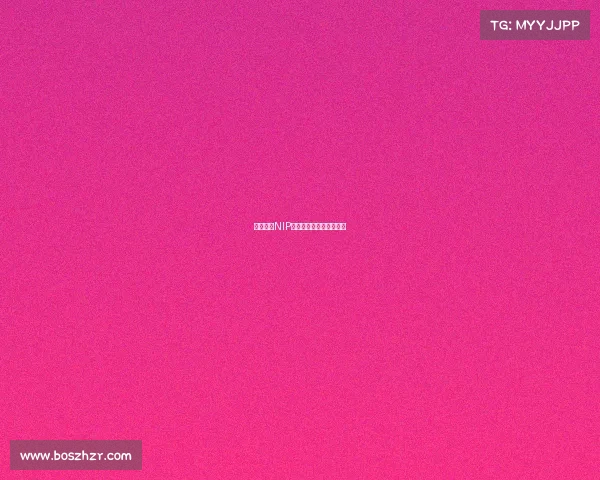 硝烟再起NIP电竞军团吹响新征程号角 硝烟再起NIP电竞军团吹响新征程号角